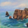 Ponta de S&atilde;o Louren&ccedil;o, Cani&ccedil;al, Madeira Island