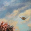 Flying Nest, New Beginnings