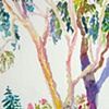 Study of Trees
