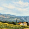 Sunflower Field, Tuscany