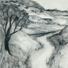 The Road to Pilar, New Mexico