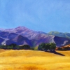 selected ARCHIVED landscapes