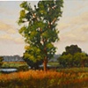 Tree at Shelby Farms, Memphis, TN