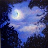Summer Crescent