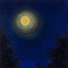 Night Sings Her Song