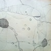 Worlds Ago
