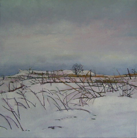 Cobourg In Winter #4