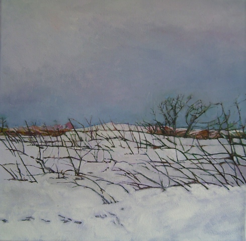 Cobourg In Winter #3