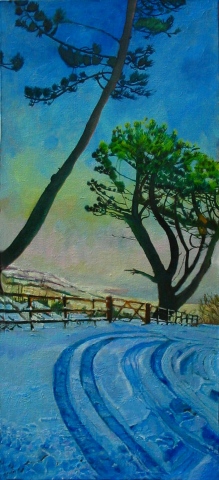 Highland Trees In Snow Tracks