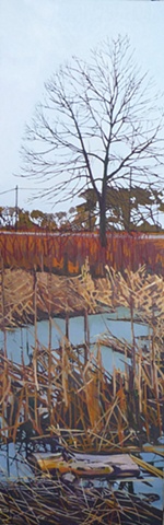 Wetlands