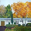 Suburbia, Autumn Gold
