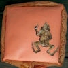 dead frog pillow