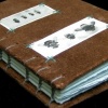 insects and brown velvet