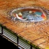 time capsule book