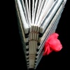 pirate flower book
