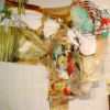 communication with birds, installation view