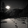 Trail Blazin, West Vail