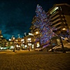 Holidays in Vail