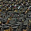 Graduation