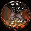 NYC fisheye
