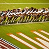 Miami Dolphins cheerleaders, half time show
