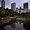 Central park, NYC
