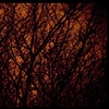 see through fire