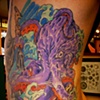  octopus