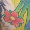 phoenix 2