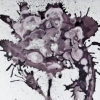 Purple Mylar