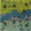jujube #6