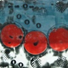 jujube #30