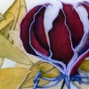 Columbine