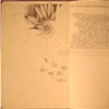 Italy Journal