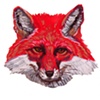 welcome fox