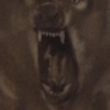 Show Yer Teeth
