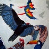 All Birds Want To Be Free
