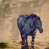 Night Mare