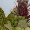 Castor Bean
