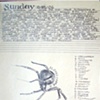 2006