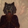 Night as Nightmare