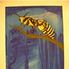 2003