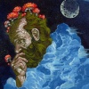 Dreamer