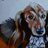 Lola