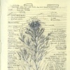 Italy Journal
