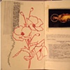Italy Journal