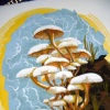 Mushrooms