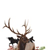 forest magic stationary