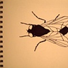 2003