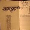 Italy Journal